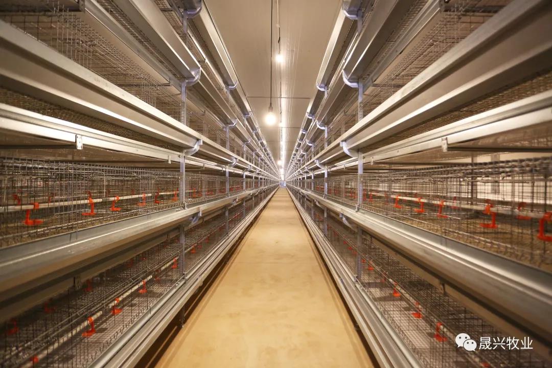 尊龙凯时人生就是搏·(中国区)官方网站