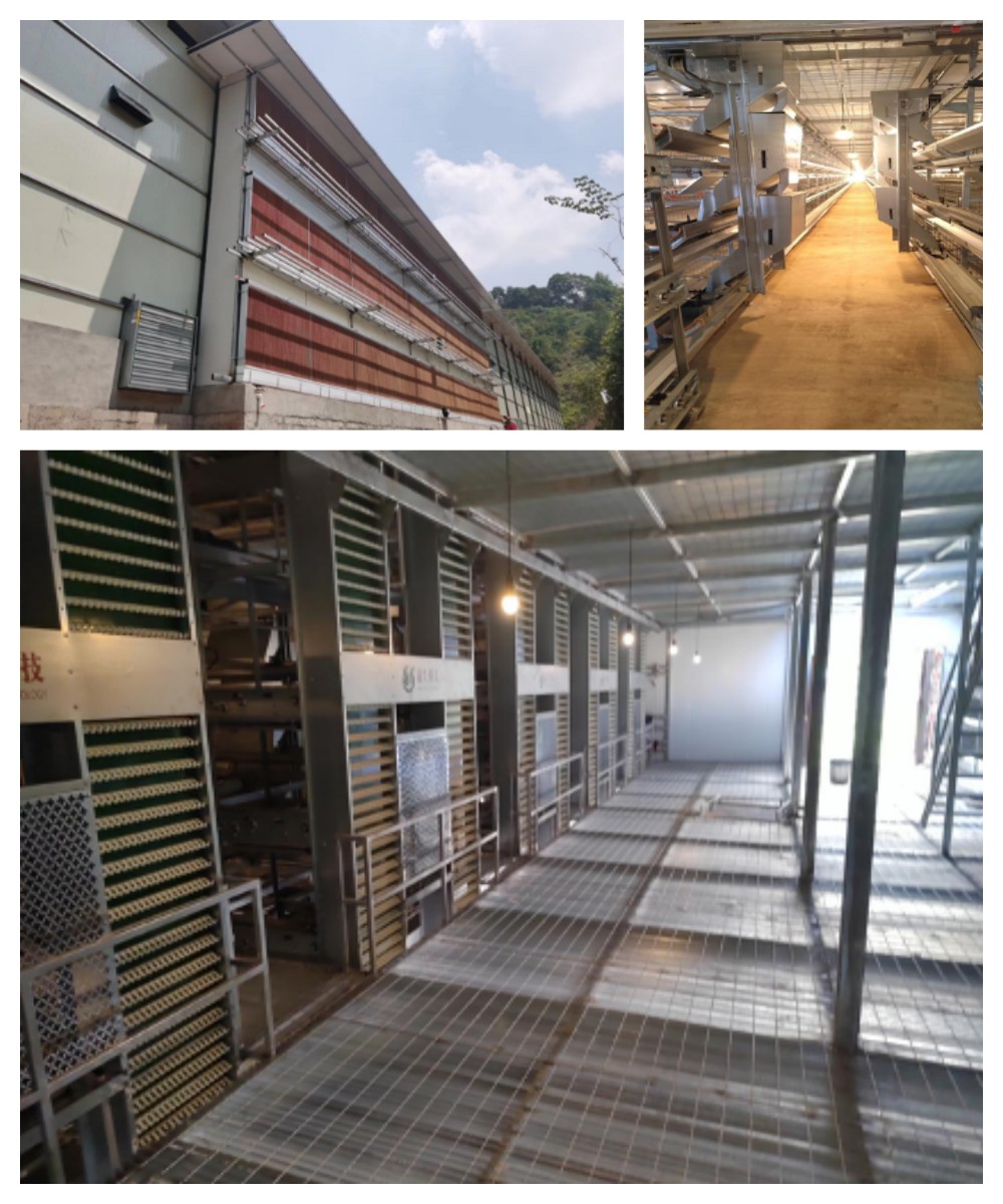 尊龙凯时人生就是搏·(中国区)官方网站