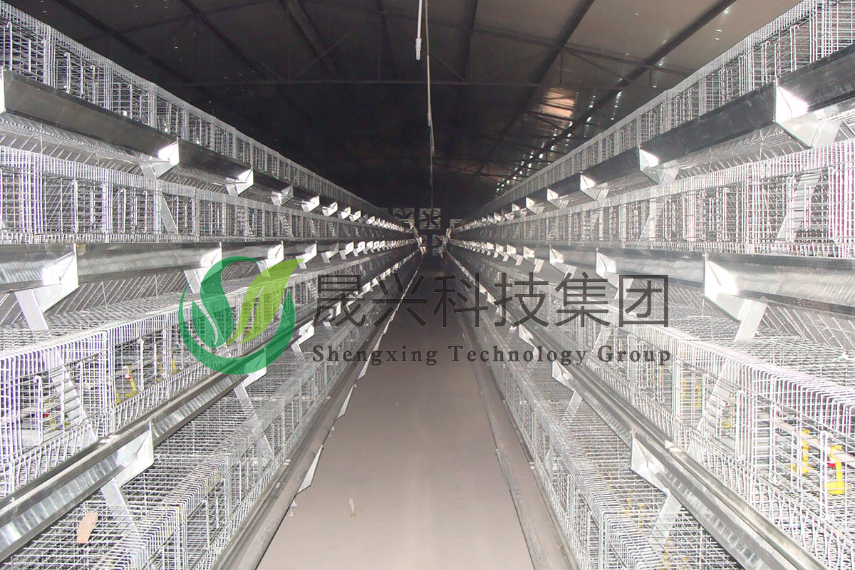 青年鸡养殖装备