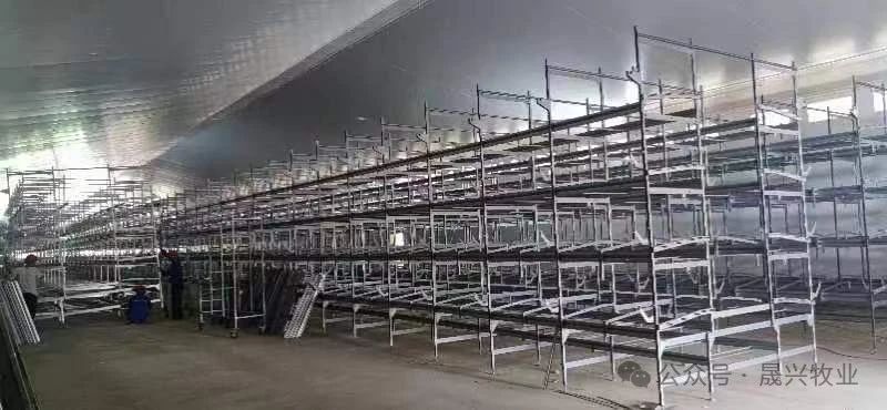 尊龙凯时人生就是搏·(中国区)官方网站